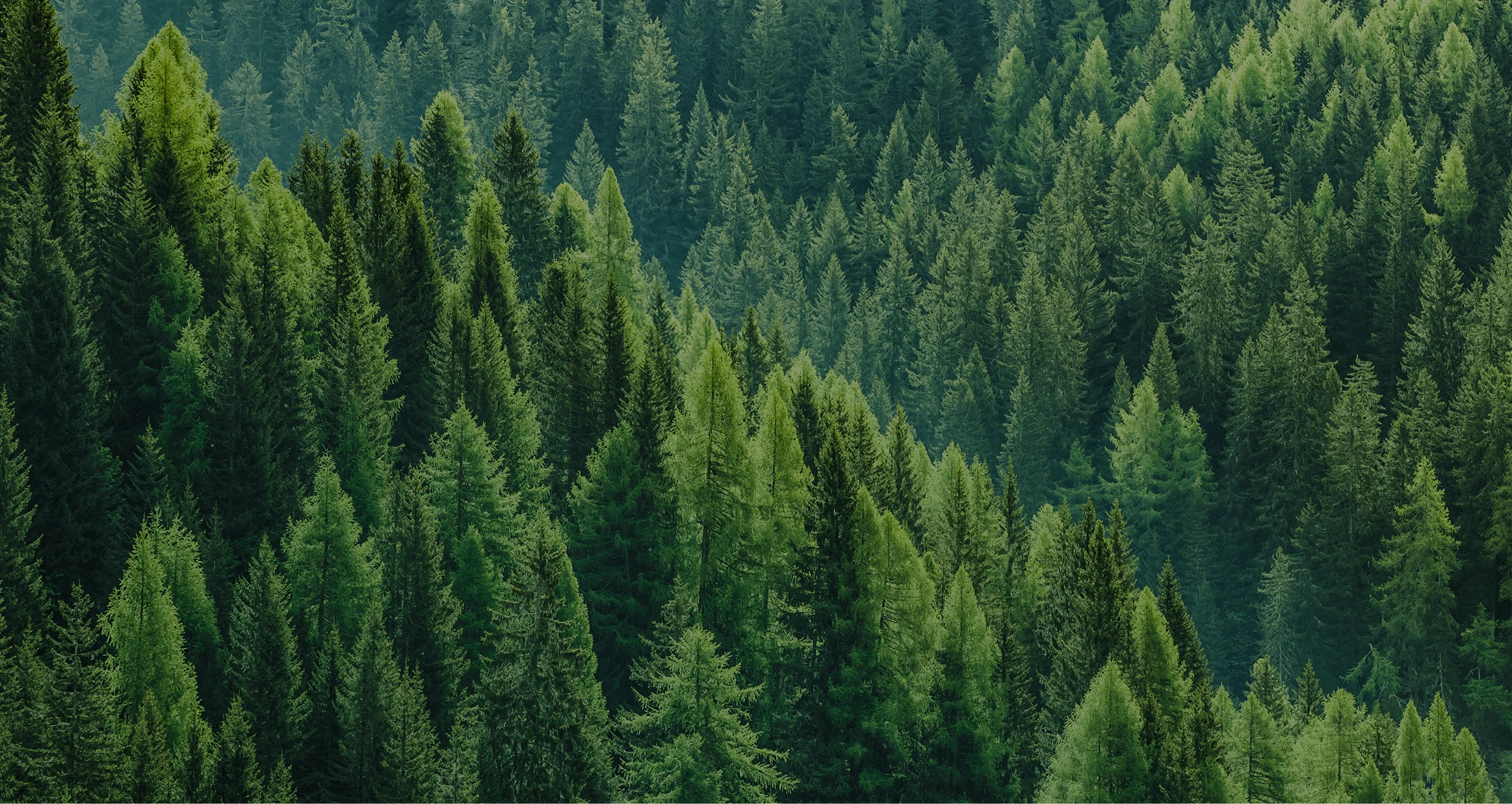 CRÉATIVITÉ DURABLE